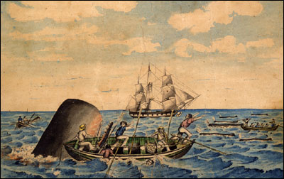 whaling